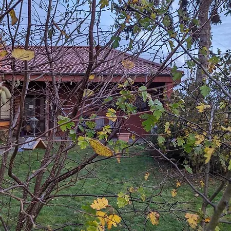 Grosse In Top-lage In *